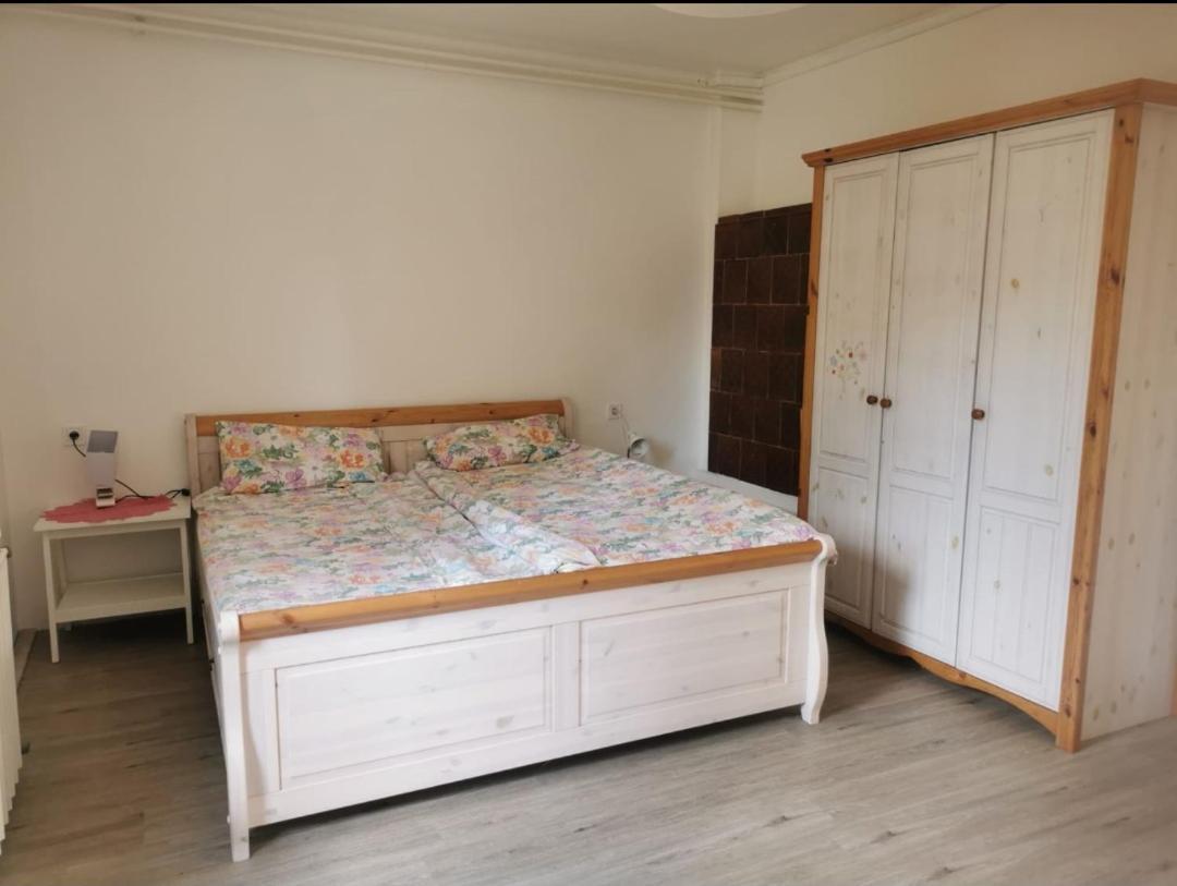 Grosses Ferienhaus Plattensee Balaton - Nyaralo Haz 6 Szobaval, 5 Fuerdoszobaval, 3000 Nm Apartment Szolad Bagian luar foto