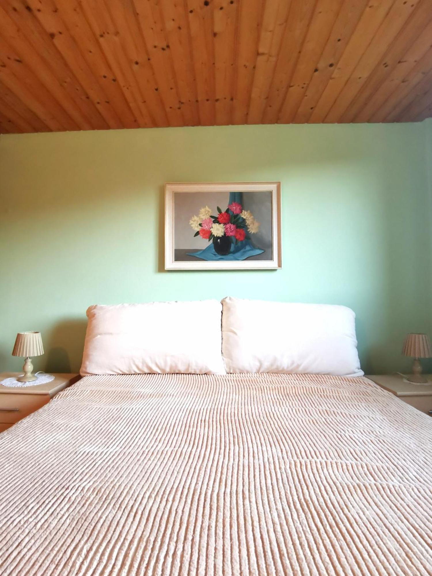 Grosses Ferienhaus Plattensee Balaton - Nyaralo Haz 6 Szobaval, 5 Fuerdoszobaval, 3000 Nm Apartment Szolad Bagian luar foto